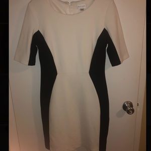 Size 16 Bisou Bisou dress